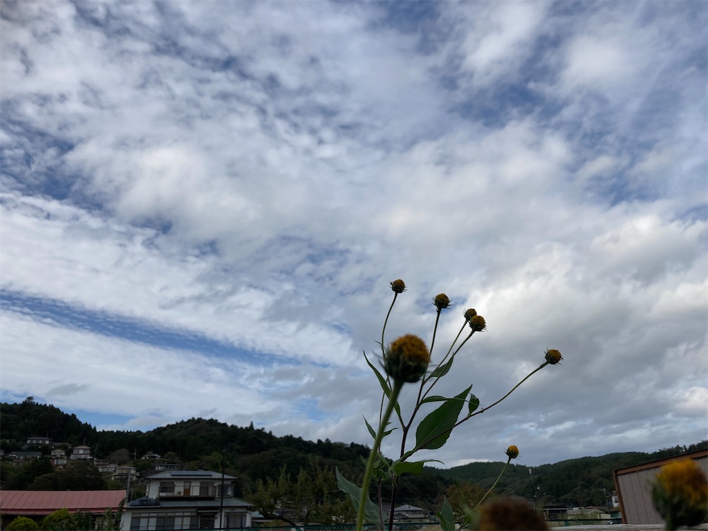 f:id:tentanpt:20211103224036j:image