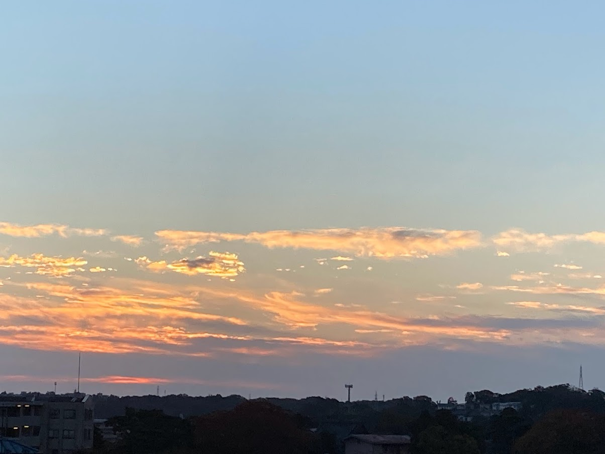 f:id:tentanpt:20211217224620p:plain