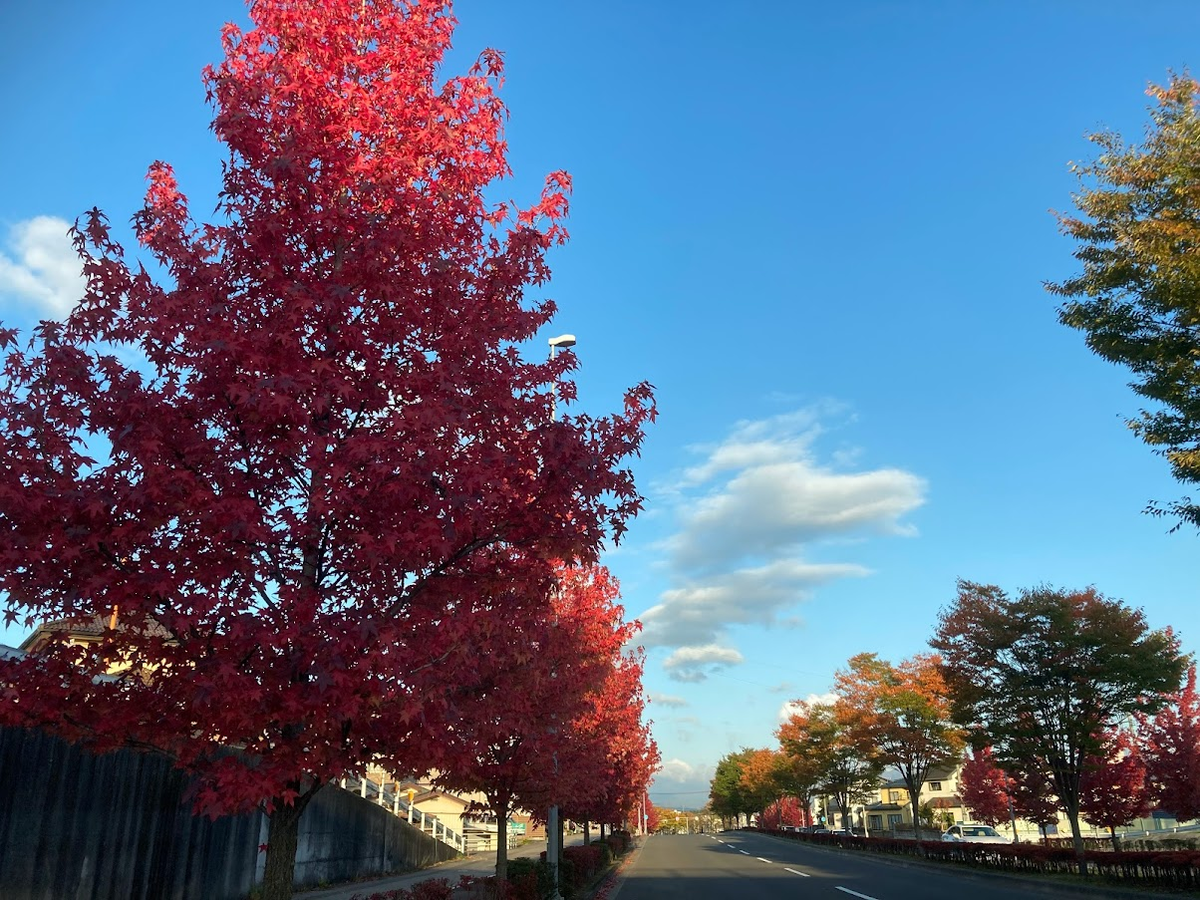 f:id:tentanpt:20211217224752p:plain