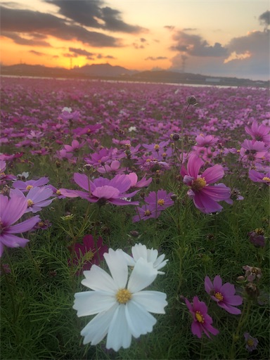 f:id:tentecoworks:20191029172852j:image