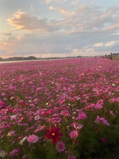 f:id:tentecoworks:20191029175004j:image