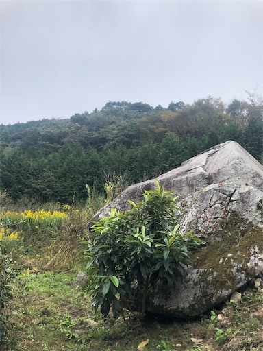 f:id:tentecoworks:20191103174324j:image f:id:tentecoworks:20191103174324j:image