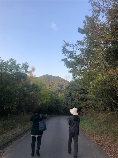 f:id:tentecoworks:20191110030629j:image