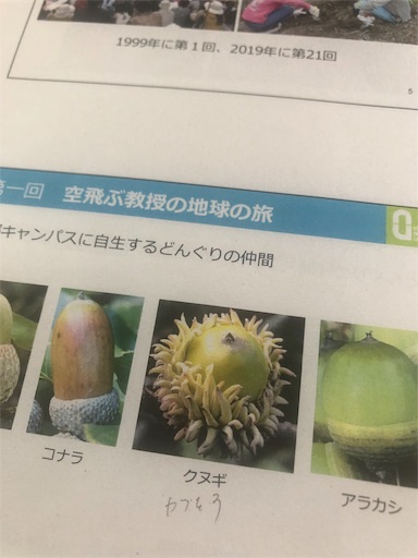 f:id:tentecoworks:20191110120108j:image