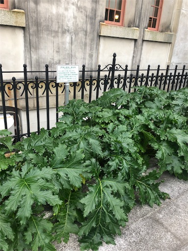 f:id:tentecoworks:20191113215058j:image