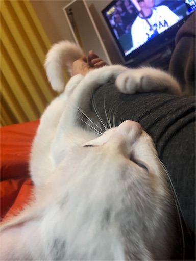 f:id:tentecoworks:20191114101032j:image