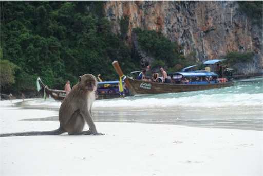 f:id:tentecoworks:20191116230207j:image