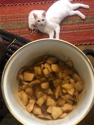 f:id:tentecoworks:20191222203237j:image f:id:tentecoworks:20191222203237j:image