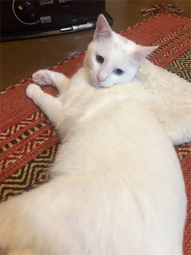 f:id:tentecoworks:20191222212321j:image f:id:tentecoworks:20191222212321j:image