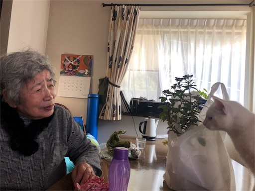 f:id:tentecoworks:20200208230721j:image f:id:tentecoworks:20200208230721j:image