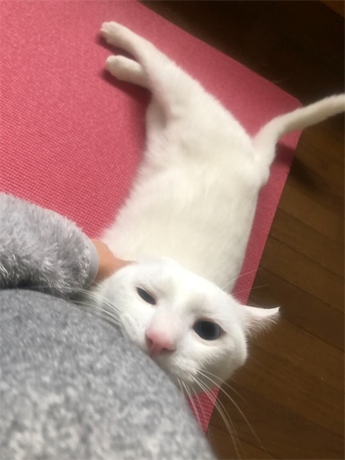 f:id:tentecoworks:20200416215845j:image f:id:tentecoworks:20200416215845j:image