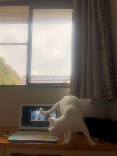 f:id:tentecoworks:20200416215848j:image f:id:tentecoworks:20200416215848j:image