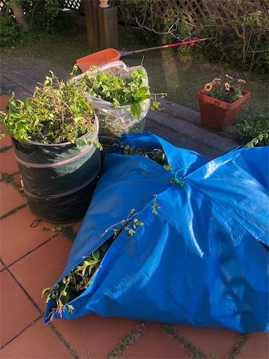 f:id:tentecoworks:20200513200951j:image