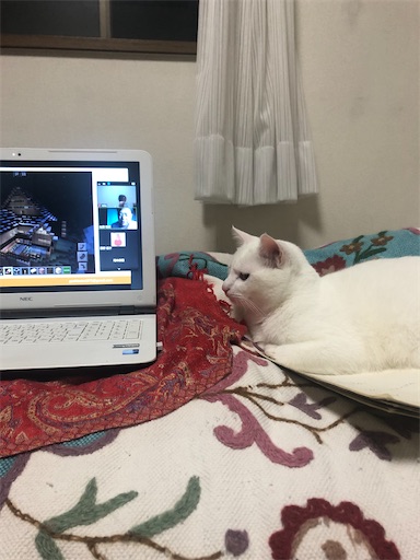 f:id:tentecoworks:20200613182214j:image