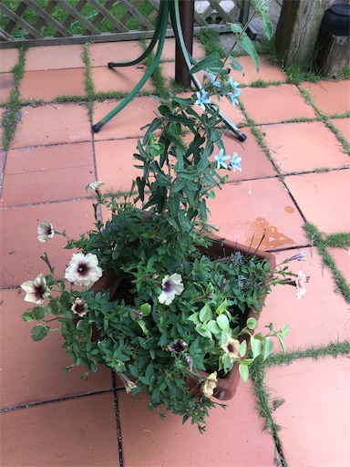 f:id:tentecoworks:20200715190448j:image