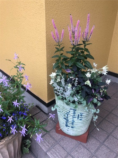 f:id:tentecoworks:20200715190600j:image