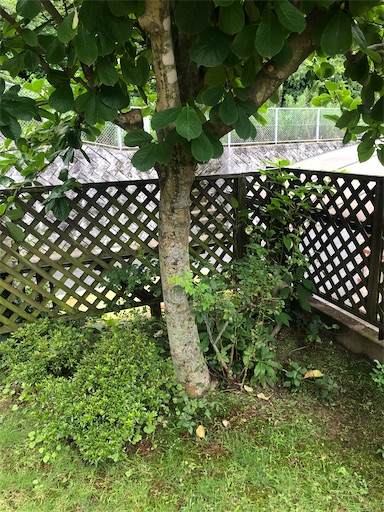 f:id:tentecoworks:20200715190709j:image