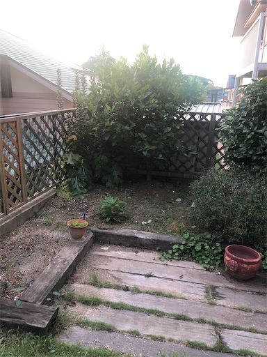 f:id:tentecoworks:20200715190856j:image