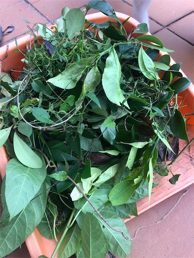 f:id:tentecoworks:20200715193122j:image