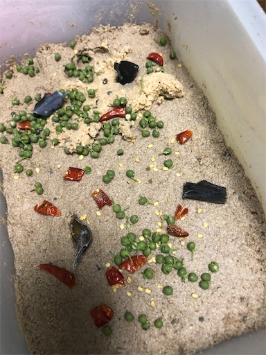 f:id:tentecoworks:20200722011729j:image f:id:tentecoworks:20200722011729j:image