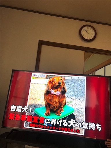 f:id:tentecoworks:20200725134452j:image f:id:tentecoworks:20200725134452j:image