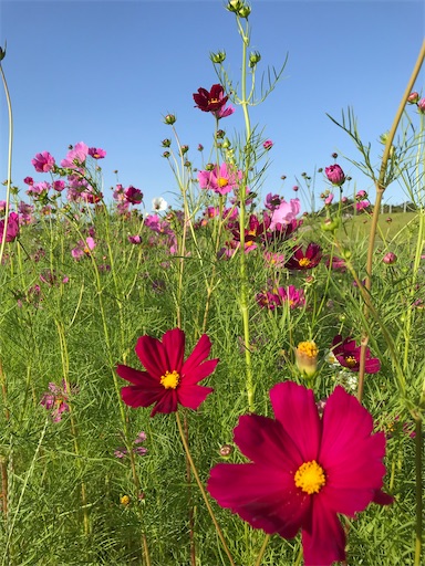 f:id:tentecoworks:20201005222550j:image f:id:tentecoworks:20201005222550j:image