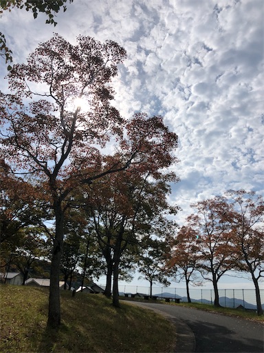 f:id:tentecoworks:20201106220234j:image f:id:tentecoworks:20201106220234j:image