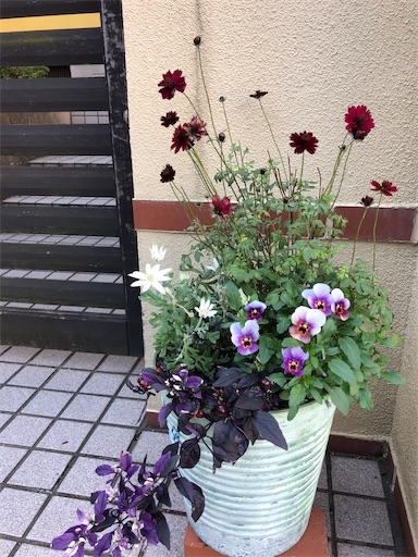 f:id:tentecoworks:20201110215802j:image