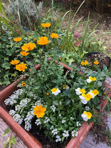 f:id:tentecoworks:20201110215913j:image