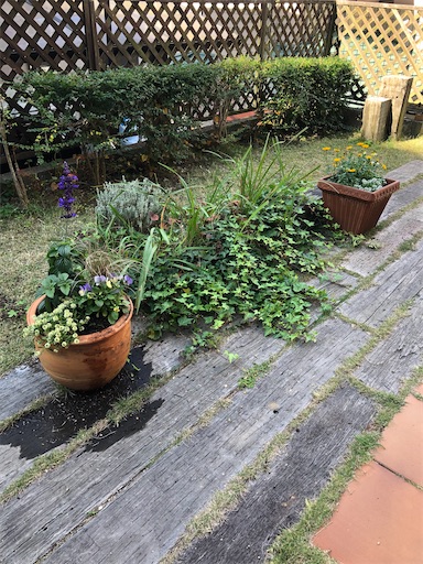 f:id:tentecoworks:20201110225640j:image