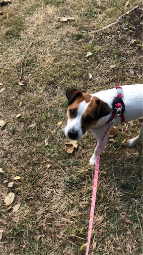 f:id:tentecoworks:20201128222610j:image f:id:tentecoworks:20201128222610j:image