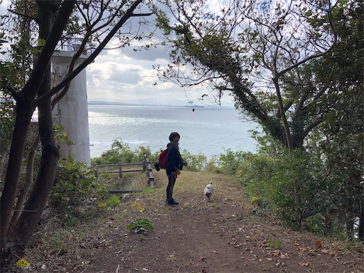 f:id:tentecoworks:20201128222634j:image f:id:tentecoworks:20201128222634j:image