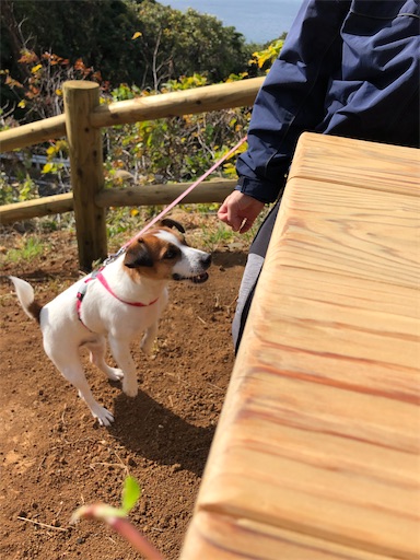 f:id:tentecoworks:20201128222744j:image f:id:tentecoworks:20201128222744j:image