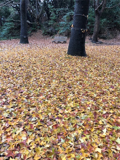 f:id:tentecoworks:20201224180918j:image f:id:tentecoworks:20201224180918j:image