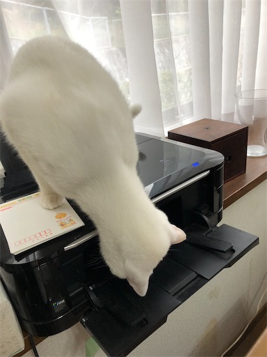 f:id:tentecoworks:20201227184612j:image