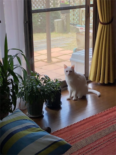 f:id:tentecoworks:20201227184734j:image