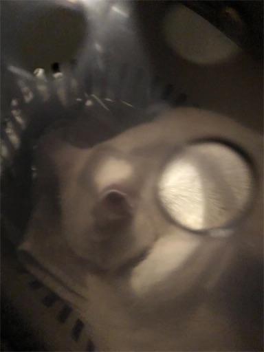 f:id:tentecoworks:20210102202706j:image