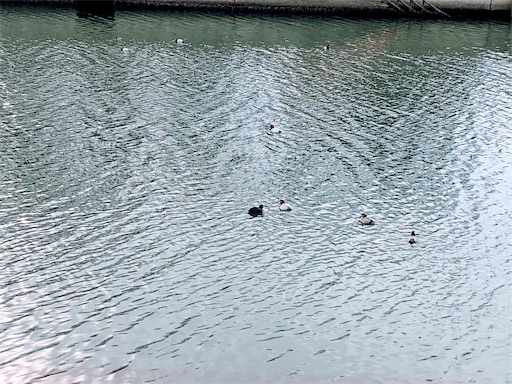 f:id:tentecoworks:20210111191838j:image f:id:tentecoworks:20210111191838j:image