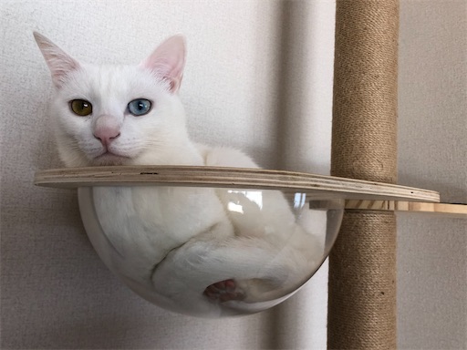 f:id:tentecoworks:20210114223830j:image f:id:tentecoworks:20210114223830j:image