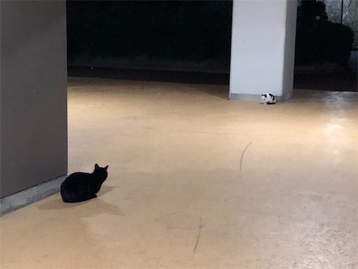 f:id:tentecoworks:20210119195231j:image f:id:tentecoworks:20210119195231j:image