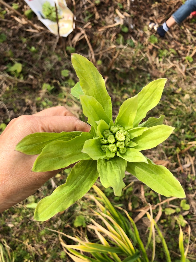 f:id:tentecoworks:20210211233423j:image f:id:tentecoworks:20210211233423j:image