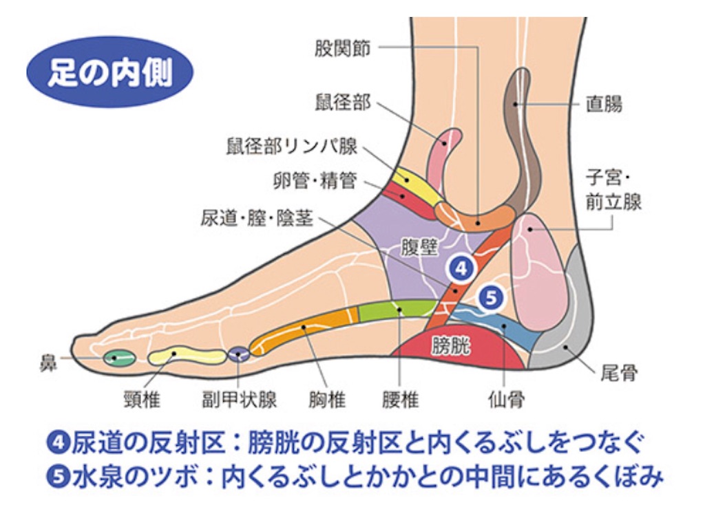 f:id:tentecoworks:20210220193402j:image f:id:tentecoworks:20210220193402j:image