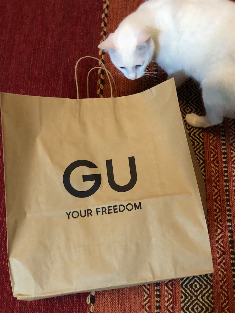 f:id:tentecoworks:20210331211251j:image f:id:tentecoworks:20210331211251j:image