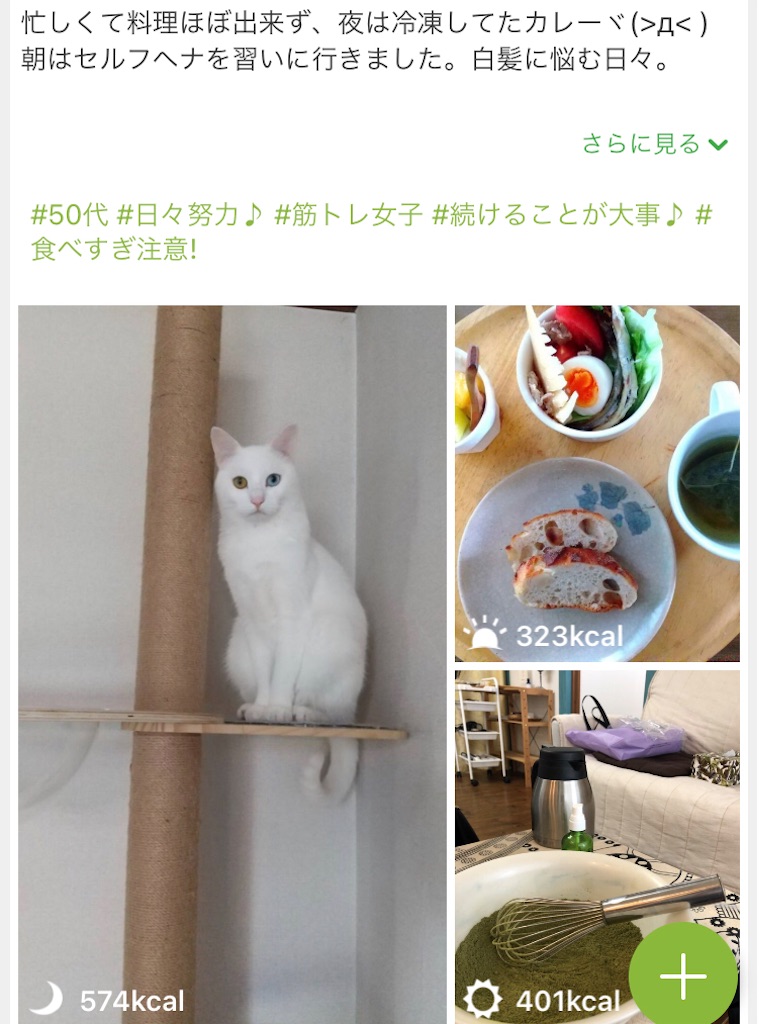 f:id:tentecoworks:20210414204219j:image f:id:tentecoworks:20210414204219j:image