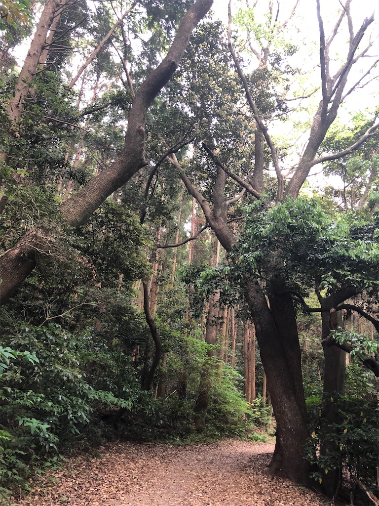 f:id:tentecoworks:20210426004531j:image f:id:tentecoworks:20210426004531j:image