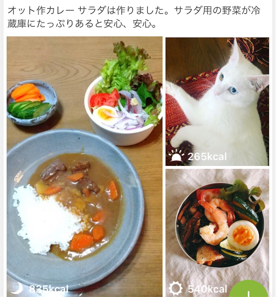 f:id:tentecoworks:20210527055451j:image f:id:tentecoworks:20210527055451j:image