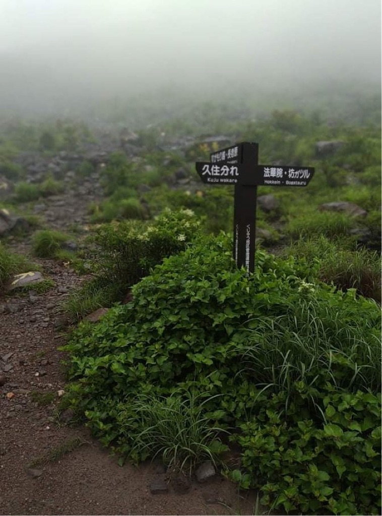 f:id:tentecoworks:20210926000118j:image f:id:tentecoworks:20210926000118j:image