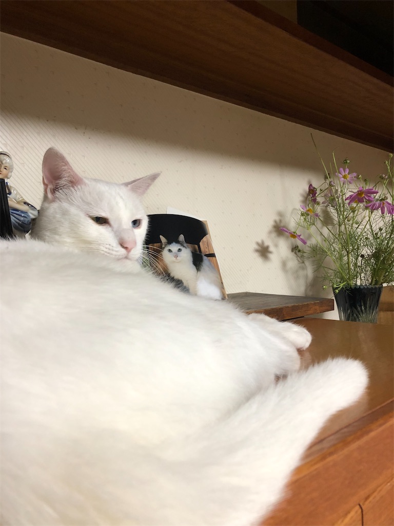 f:id:tentecoworks:20211008233419j:image f:id:tentecoworks:20211008233419j:image