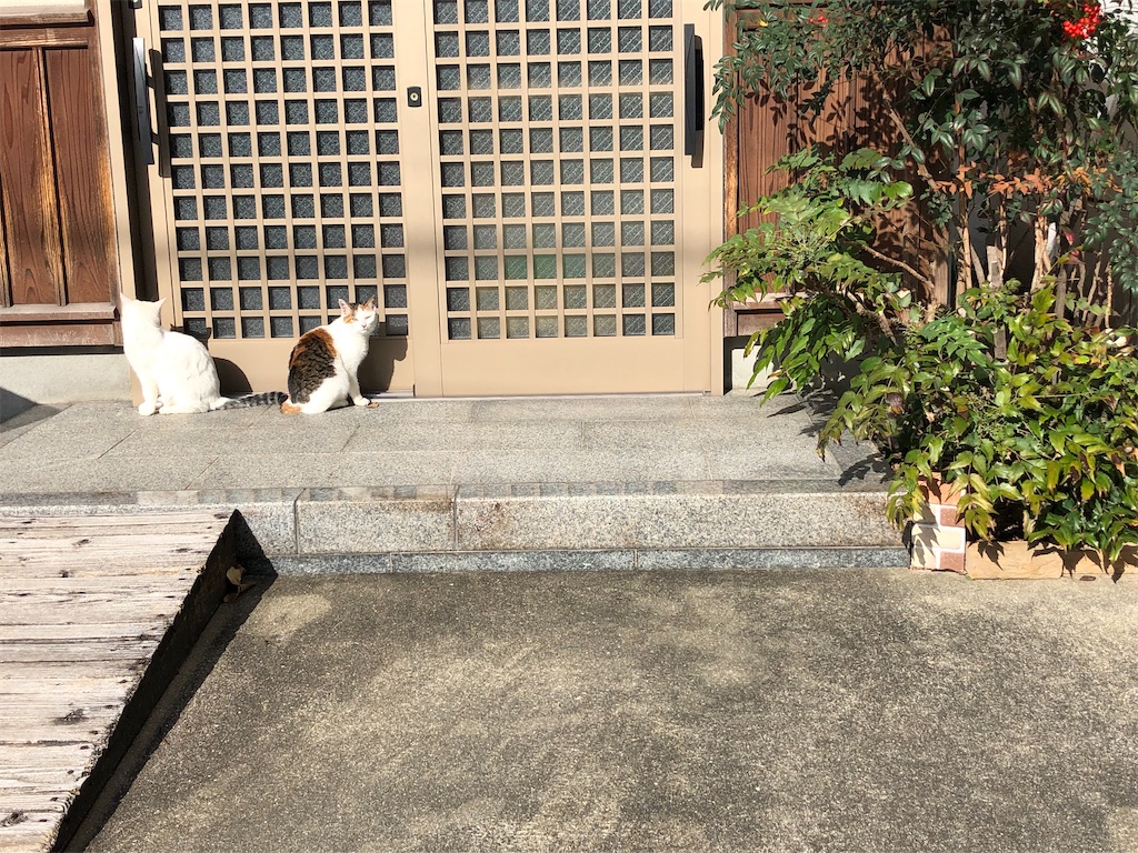 f:id:tentecoworks:20211204181046j:image f:id:tentecoworks:20211204181046j:image