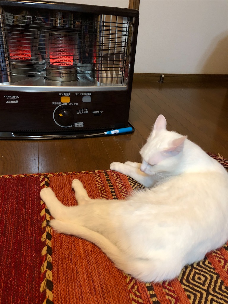 f:id:tentecoworks:20220127131410j:image